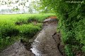 5.21_08:50_[2].jpg